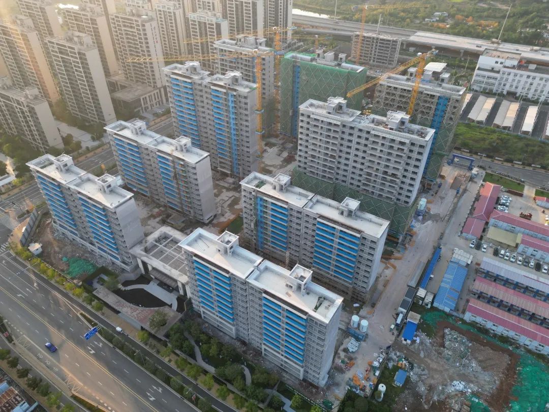 1704156387978843.jpg 640 (1).jpg